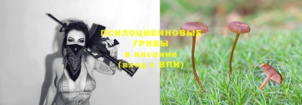 мяу мяу мука Балахна